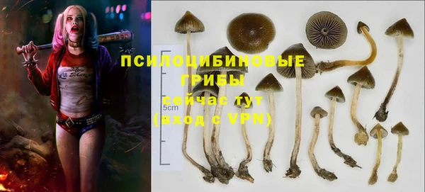 герыч Нязепетровск