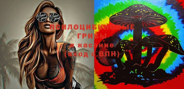 прущий лед Нягань