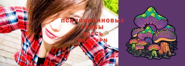 прущий лед Нягань